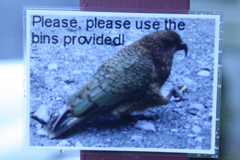 Kea warning