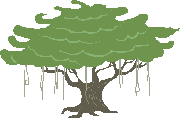 Banyan tree