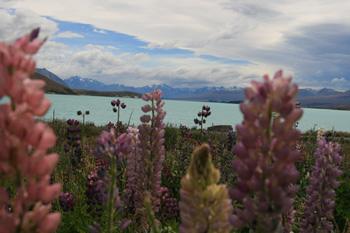 Beautiful views from around Mount Cook
