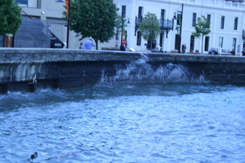Dancing waves in Queenstown