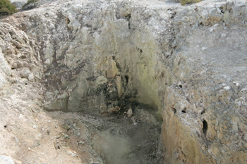 Holes near a collpased crater in Wai-O-Tapu