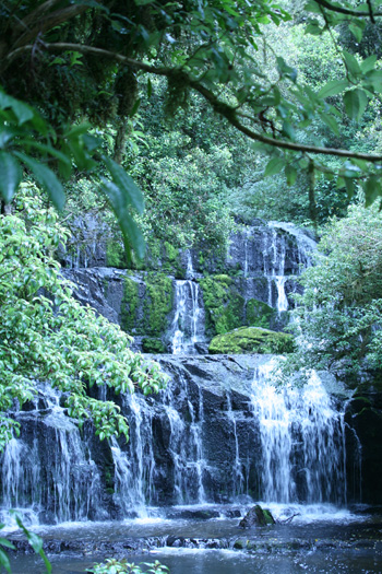 Purakaunui Falls