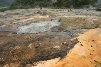 Thermal field