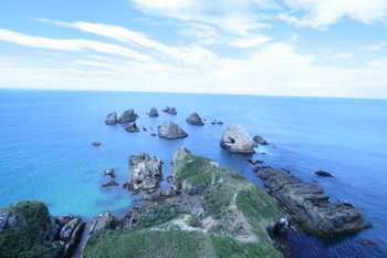 Nugget Point