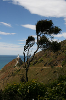Nugget Point Lighthouse