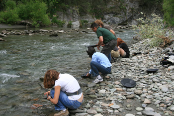 Sifting for gold