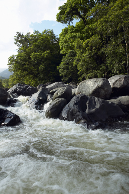 Small creek