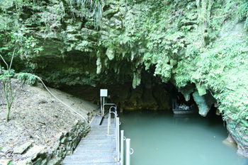 Exit of the Waitomo Caves