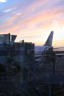 Sunrise in Auckland