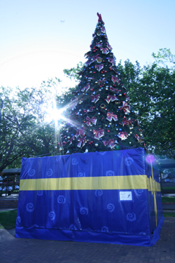 Christmas at Dunedin