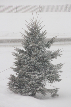 Snow!