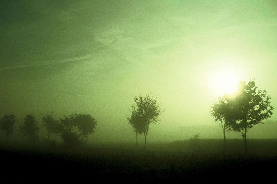 misty day