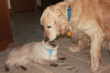 Buddies for life