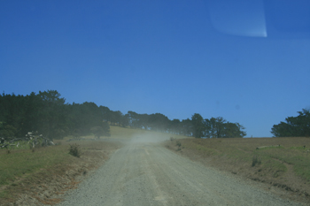 Road near Cape Reinga