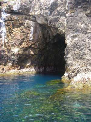 Poor Knights Island