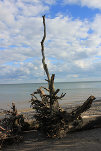 Wheatley Provincial Park