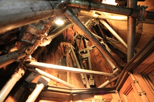 Metal supports for that old oak tree