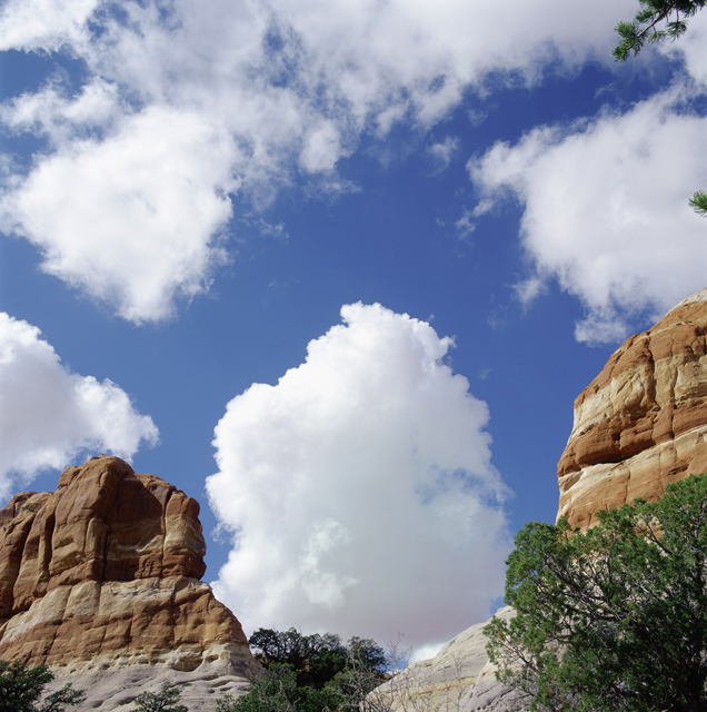 Mountains