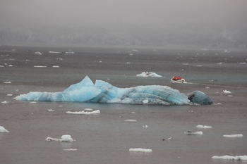 Icebergs in the lagoon