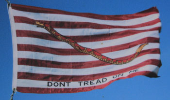 Flag: Don't tread one me