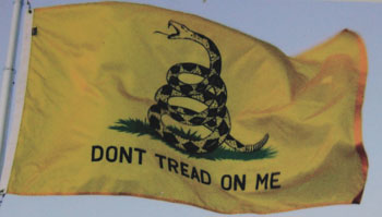 Flag: Don't tread one me