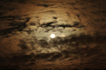 Cape Bonavista Lighthouse