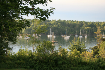 Nearby Harbor