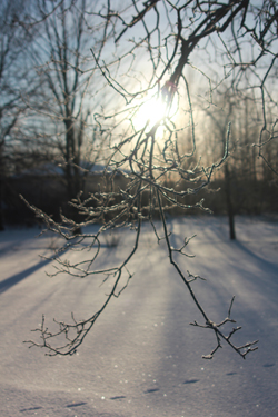 reflecting snow