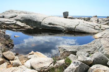 reflecting tide pool in Nova Scotia