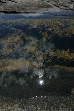 reflecting waters