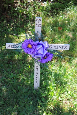 Always Forever in Our Hearts