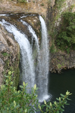 Whangarei Falls from the top