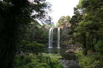 Whangarei Falls from the bottom