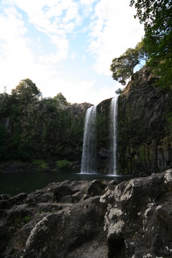 Whangarei Falls from the bottom