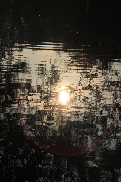 Reflection on a lake in a Belgium woods