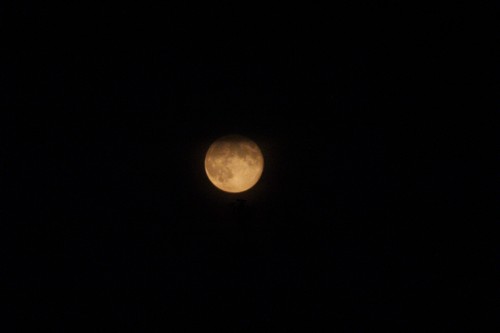 The moon during the winter 2014
