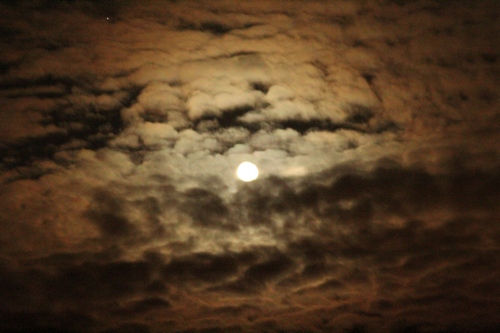 Hope During Darkness