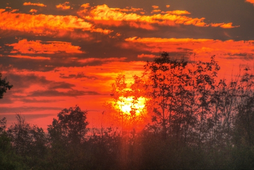Gracious sunset