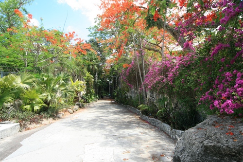 A street in the Bahamas