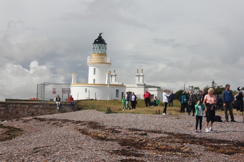 The lighthouse near where the dolphins eat salmon
