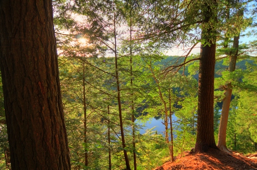 The gorgeous outlook