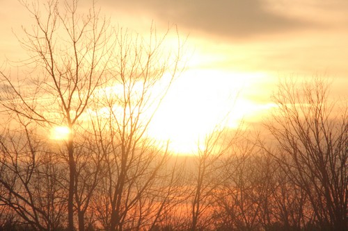 Sunrise