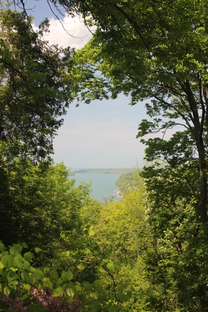 A restful and peaceful view of the Niagara river