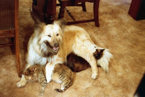 Making friends isn't always easy!