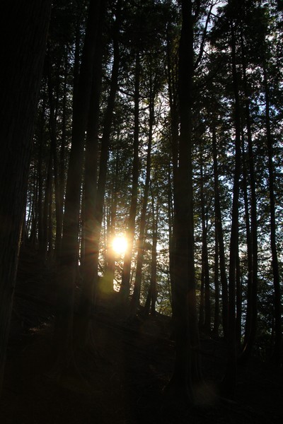 The sun shining in the darkness