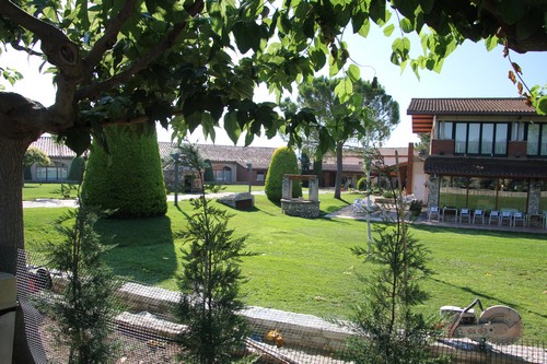 Our hotel