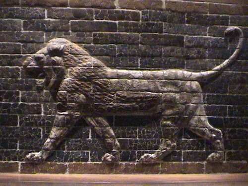The lion
