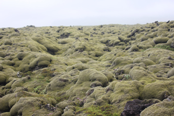 Moss covered lava fields near where Jon preached